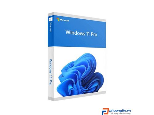 Phần Mềm Windows 11 Pro 64 bit All Lng PK Lic Online DwnLd NR FQC-10572 (Key Điện Tử)